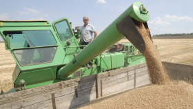 В России повсеместно начала дешеветь пшеница 
